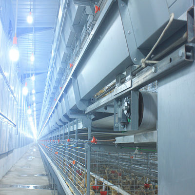 Poultry Equipment Multi Poultry Broiler Cage Customized Multi Style