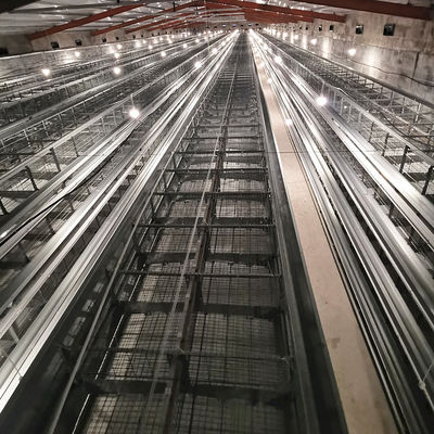 Hot  Galvanized Automatic Egg Layer Chicken  For Poultry Farm