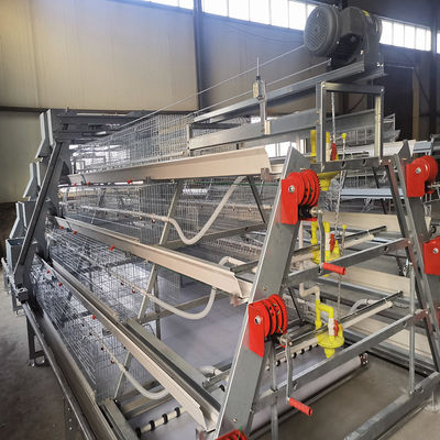 SONCAP Accredited 380V 50HZ Automatic Broiler Equipment For Chicken House