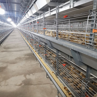60-144 Broiler Poultry Equipment , ISO9001 Wire Bird Breeding Cages