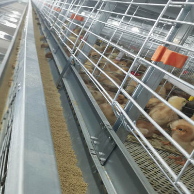 60-144 Broiler Poultry Equipment , ISO9001 Wire Bird Breeding Cages
