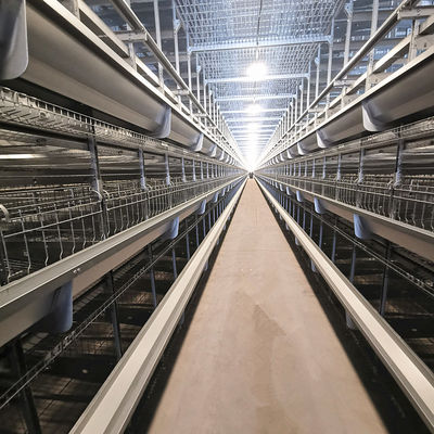 Automatic Broiler Equipment For Chicken House, 380V 50HZ With SONCAP Approval