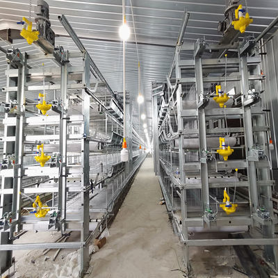 SONCAP Approved Automatic Broiler Equipment For Chicken House, 380V 50HZ