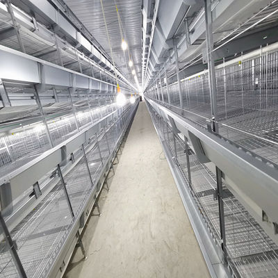 Automatic Broiler Equipment For Chicken House, 380V 50HZ, SONCAP Approved