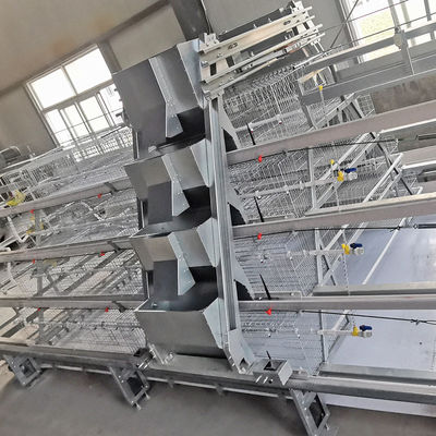 SONCAP Approved Automatic Broiler Equipment For Chicken House, 380V 50HZ