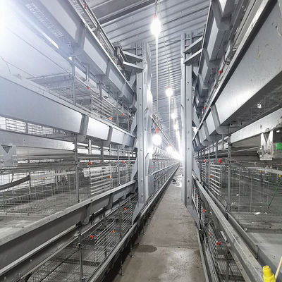 SONCAP Approved Automatic Broiler Equipment For Chicken House, 380V 50HZ