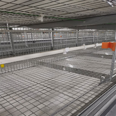 Big Size 85*62.5*50 Cm Broiler Chicken Cage Baby Chick Used