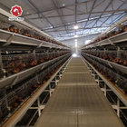 Long Time Use Hot Galvanized Broiler Chicken Cage 17 Chicks / Cell