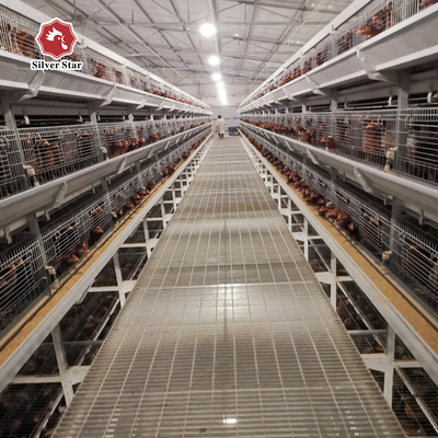 Automatic System Chicken Raising Equipment H Type Laying Hens Poultry Chicken Cage For Layers