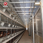H Type Battery Chicken Farming Cage Chicken Farming Cage Automatic