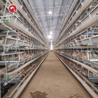 Q235 A / H Frame Chicken Poultry Cage 3-10Floors With Egg Collection