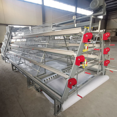 A-type Baby Chicken Cage Made Of Q235 Steel With Hot-dip Galvanized Wire Mesh