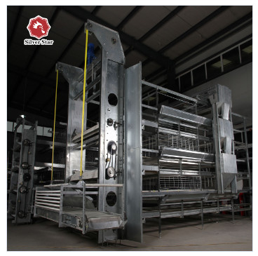 Hot  Galvanized Automatic Egg Layer Chicken  For Poultry Farm