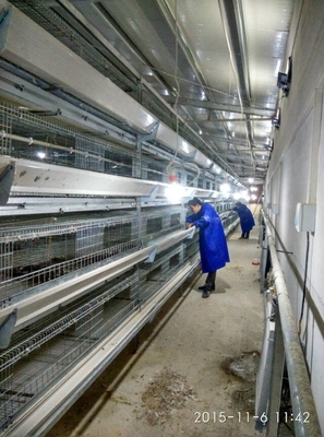 Hot  Galvanized Automatic Egg Layer Chicken  For Poultry Farm