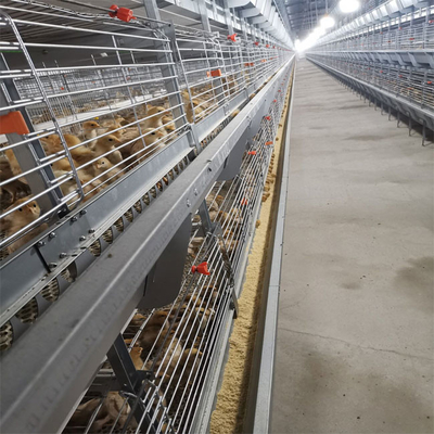 A-type Q235 Steel Cage Designed For Baby Chickens Hot-dip Galvanized Wire Mesh