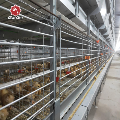 H Type New Design Automatic Broiler Cage For Chicken Farm
