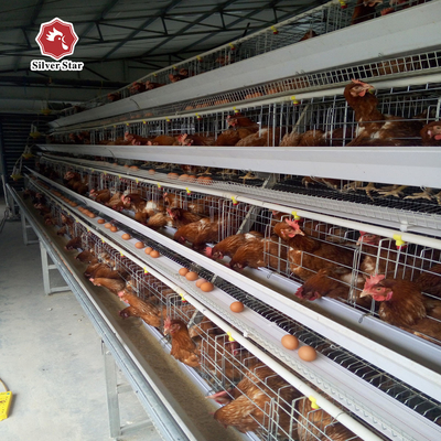 Chicken Farm Used Battery Cage Poultry House A Type 3 Tiers