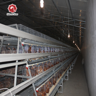 3 Tiers 4 Tiers Layer Chicken Battery Cage In Poultry Farm A Type