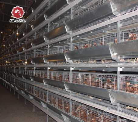 Long Time H Type Layer Cage For Management Of Laying And Breeding Hens