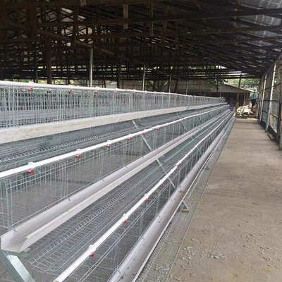 4 Layers / Cell A Type Layer Poultry Cage With Full Automatic System