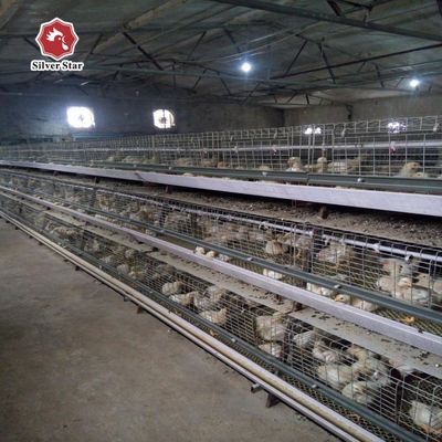 Best Price A Type Broiler Cage System Automatic A Type Broiler Cage for 1000–50000 Chickens