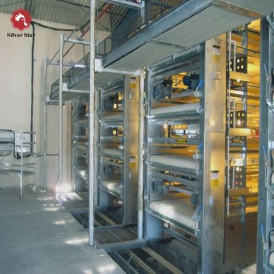 Fully Automatic H Type Broiler Chicken Cage System with Auto Feeding & Cleaning for Modern Poultry Farm