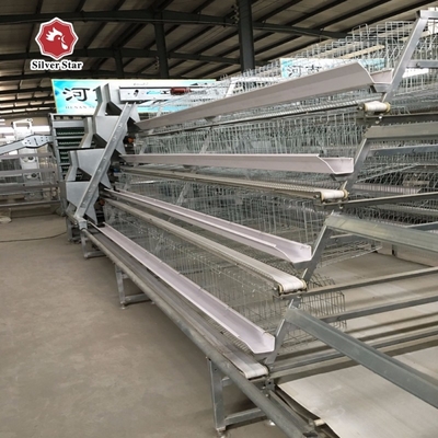 Galvanized Poultry Hen Chicken Cage And Water System For 10000 Birds Poultry Farm Design Layout