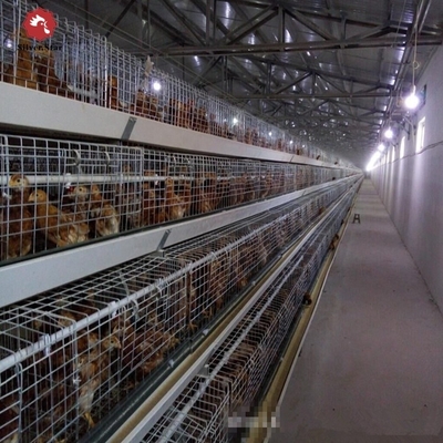 Q235 Hot Galvanized Egg Laying Hens Cage Poultry Farming Equipment Automated Chicken Layer Farming Cage