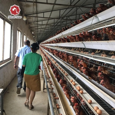 Layer Chicken Egg Cage Battery Cages For Farm 3 Tiers 4 Tiers