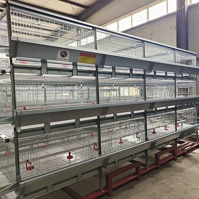 Poultry Farming Equipment H Type Automatic System Battery Broiler Chicken Cage