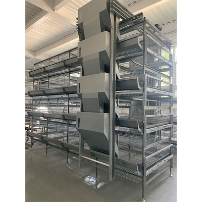 Layer Cages Poultry Farm Battery Cages Chickens Automatic Layer Chicken Cage For 20000 Birds