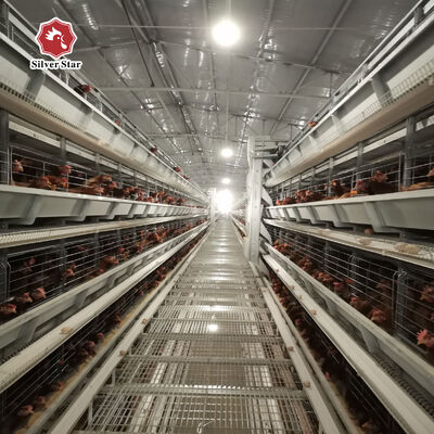 এইচ টাইপ স্তর চিকেন কেজ 20 বছর সেবা জীবন সঙ্গে 3-8 স্তর 54-216 মুরগি জন্য