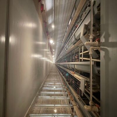 ব্যাটারি মুরগির খাঁচা ক্ষয় প্রতিরোধী দীর্ঘস্থায়ী পাখি সরঞ্জাম বড় খামার জন্য উপযুক্ত