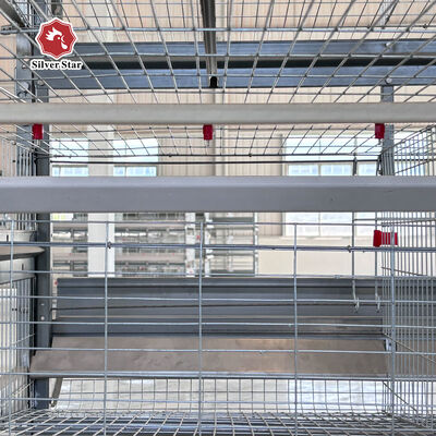 Factory Price Automatic H-Type Layer Battery Chicken Cage for Commercial Poultry Farm with 20+ Years Lifespan