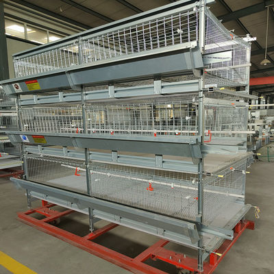 Automated H-Type Broiler Cage System Hot Dip Galvanized High Density Full Automatic Poultry Farming Equipment