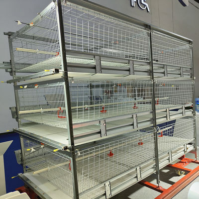 Automated H-Type Broiler Cage System Hot Dip Galvanized High Density Full Automatic Poultry Farming Equipment