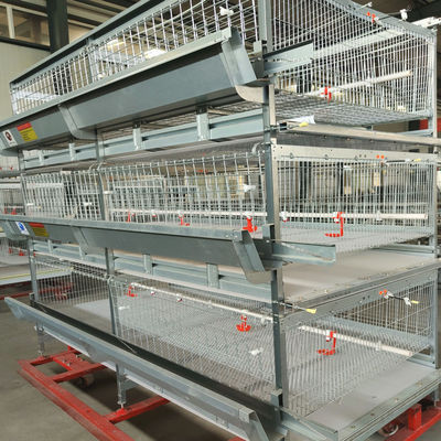 Automated H-Type Broiler Cage System with Hot-Dip Galvanized Steel for High-Density Poultry Farming
