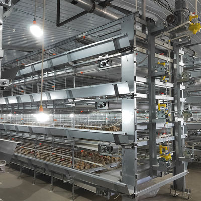 H Type Baby Chick Cage with Hot Dip Galvanizing and Automatic Feeding for 100-200 Chickens/set