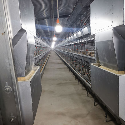 200-300 chickens / set Hot Dip Galvanized Chicken Cage For Chicken Farms Broiler Cage