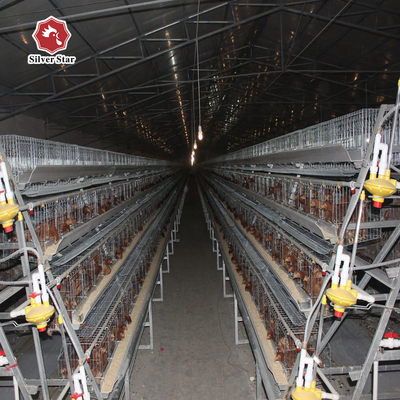 3 Tiers A Type Hot Dipped Battery Chicken Layer Cages Automatic Feeding System