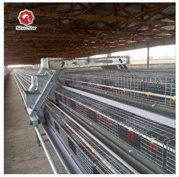 3 Tier 180 Chickens Poultry Bird Cage For Big Chicken Farm