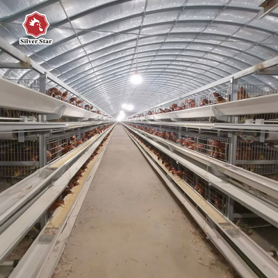 5 Layers Hot Dipped Galvanized Chicken Cage Battery Cage System