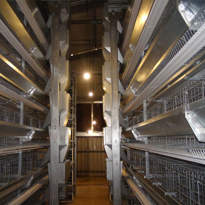 Customized Multi Layer Poultry Cage Automatic Egg Collection Cages