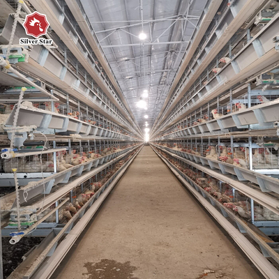 650x1250x2220mm Battery Poultry Cage H Type Automatic For Layer