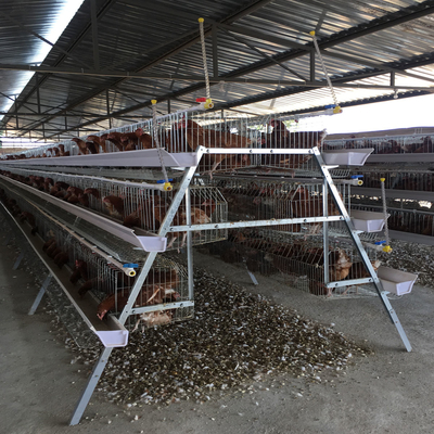 3, 4, 5 Tiers A Frame Layer Cages Chicken Poultry Laying Hens House Equipment