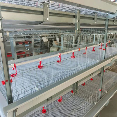 5-Tier Hot-Dip Galvanized H-Type Broiler Chicken Cage with 170 Birds Capacity