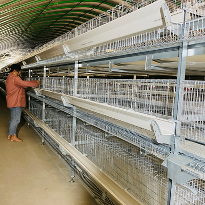Hot Galvanized Steel Battery Poultry Cage H Type 3 Tiers